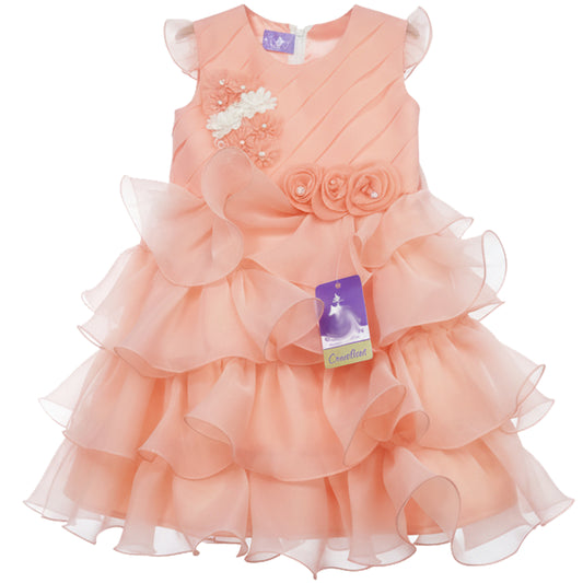 Light Orange Tissue and Net Frock